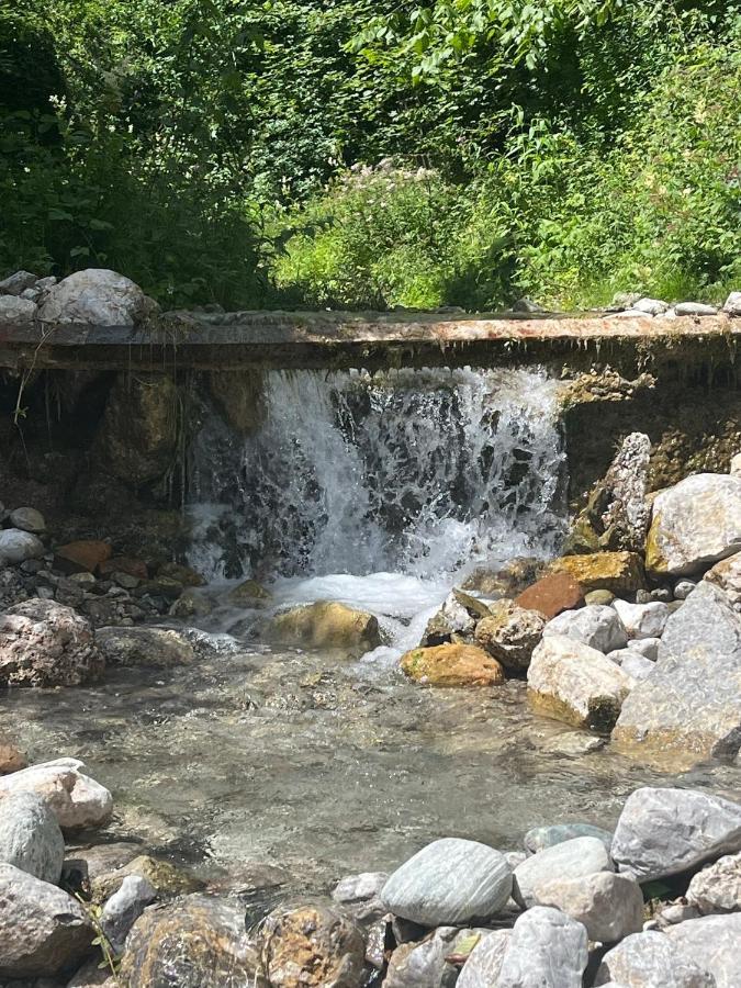 Mondholz - Urban Inn 24-7 İnnsbruck Dış mekan fotoğraf